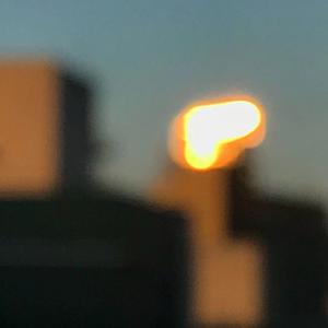 中东中文字幕成人在线少妇播放网
